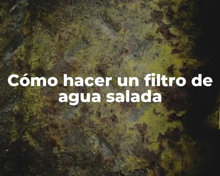 Cómo hacer un filtro de agua salada