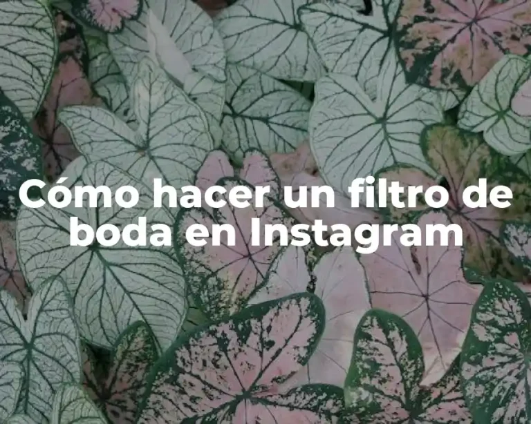 Cómo hacer un filtro de boda en Instagram