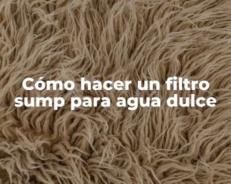 Cómo hacer un filtro sump para agua dulce