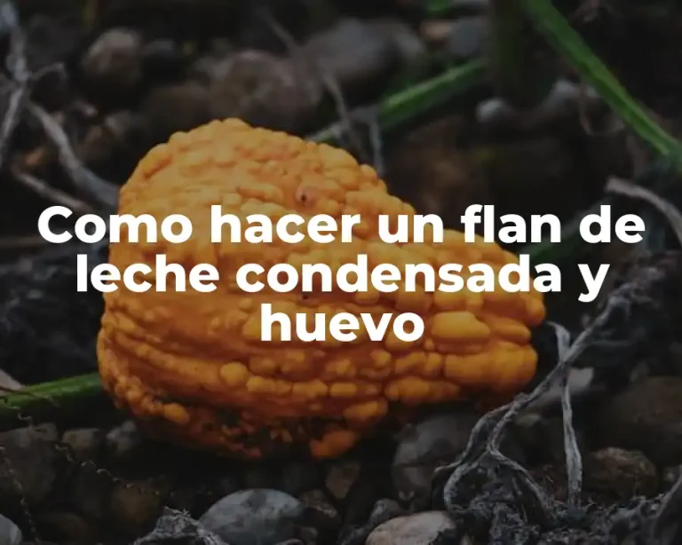 Como hacer un flan de leche condensada y huevo