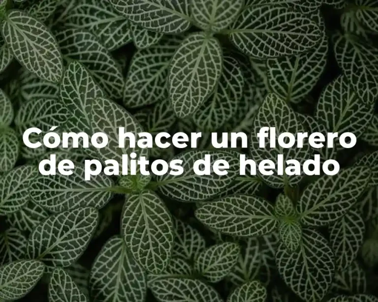 Cómo hacer un florero de palitos de helado