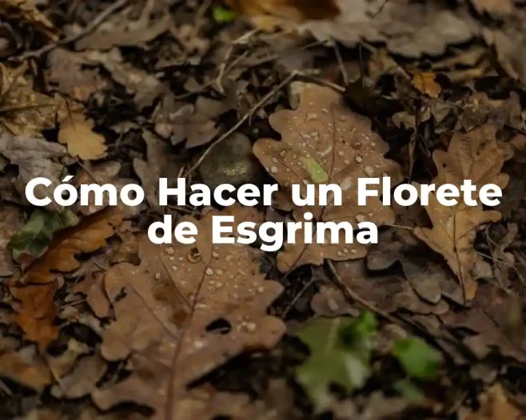Cómo Hacer un Florete de Esgrima