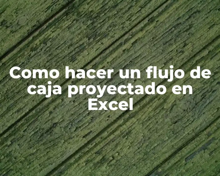 Como hacer un flujo de caja proyectado en Excel