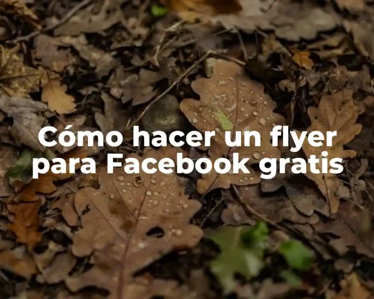 Cómo hacer un flyer para Facebook gratis