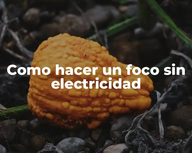 Como hacer un foco sin electricidad