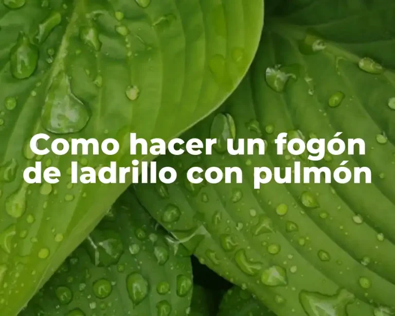 Como hacer un fogón de ladrillo con pulmón