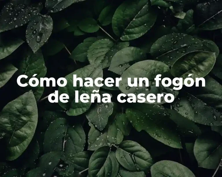 Cómo hacer un fogón de leña casero