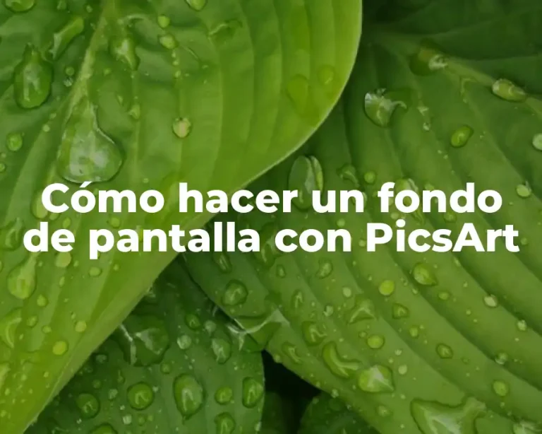 Cómo hacer un fondo de pantalla con PicsArt