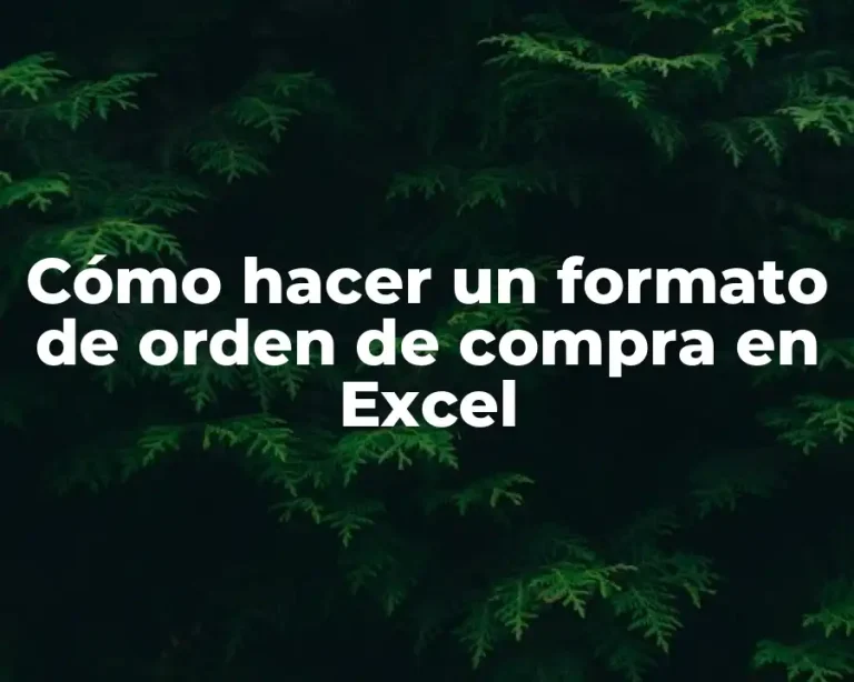 Cómo hacer un formato de orden de compra en Excel
