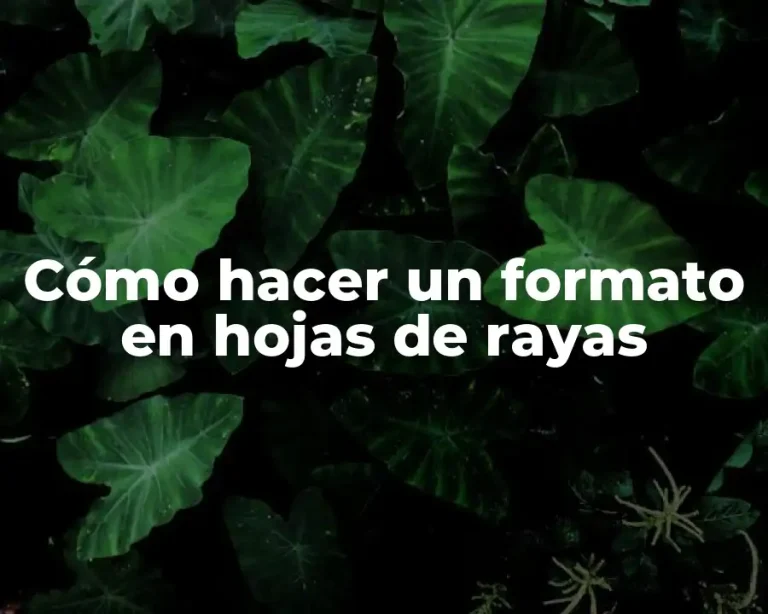Cómo hacer un formato en hojas de rayas