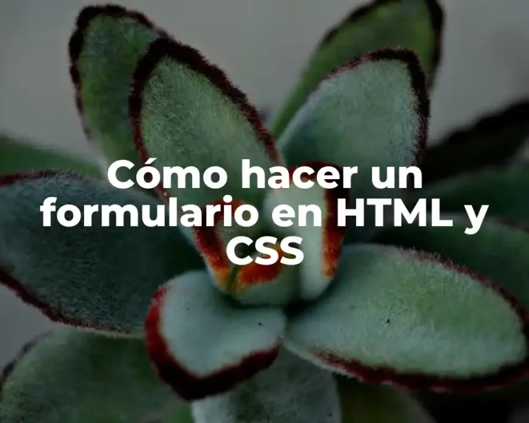 Cómo hacer un formulario en HTML y CSS