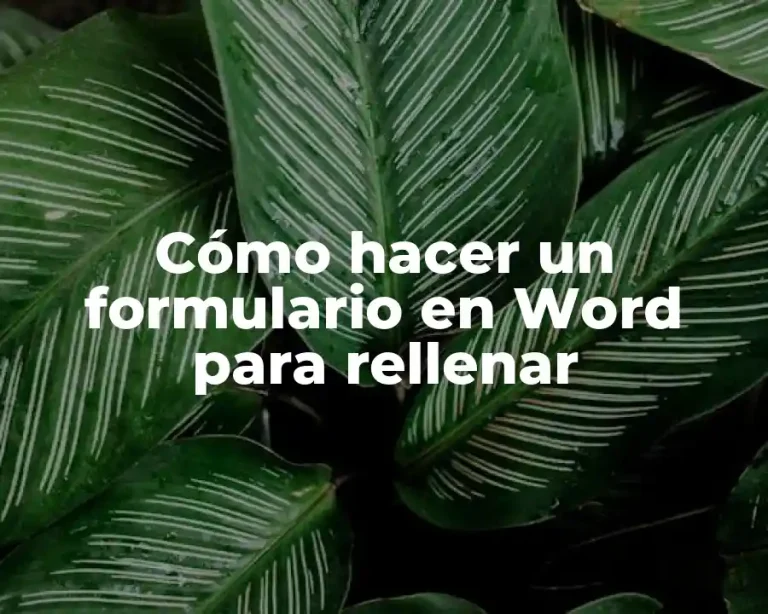 Cómo hacer un formulario en Word para rellenar