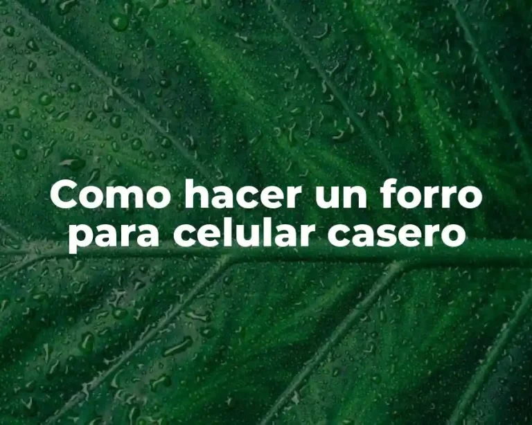 Como hacer un forro para celular casero
