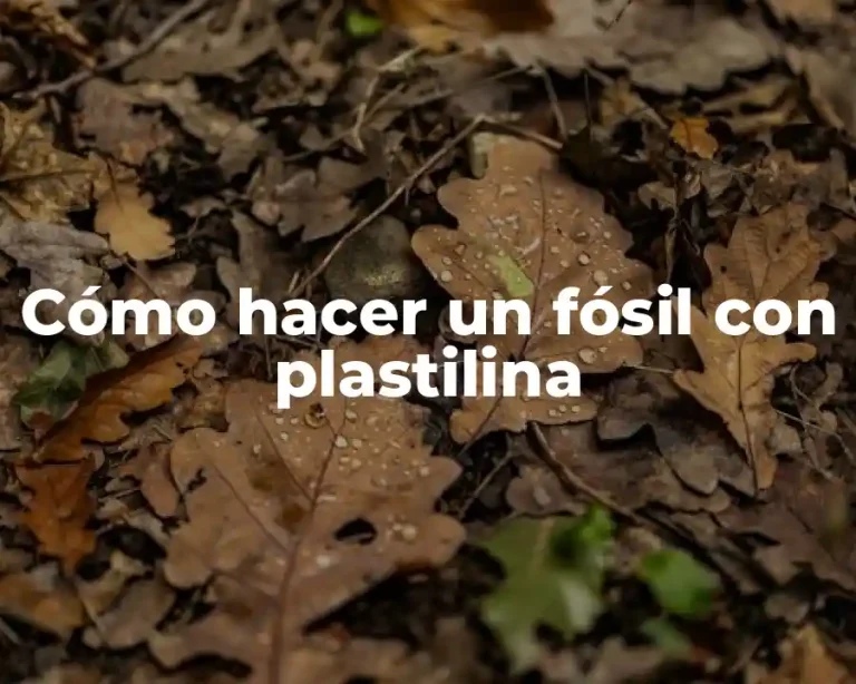 Cómo hacer un fósil con plastilina