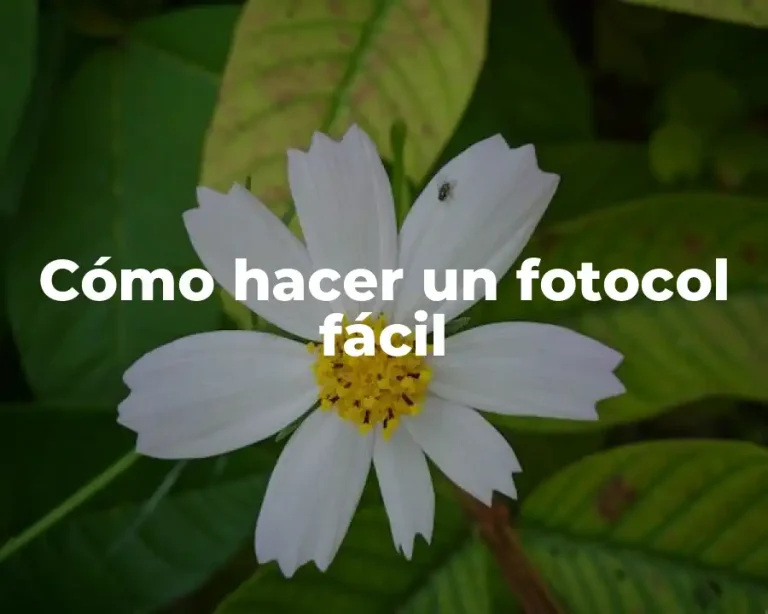 Cómo hacer un fotocol fácil