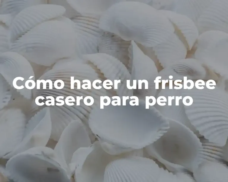 Cómo hacer un frisbee casero para perro