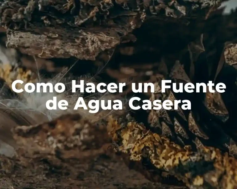 Como Hacer un Fuente de Agua Casera