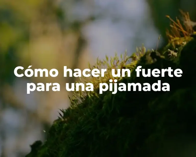 Cómo hacer un fuerte para una pijamada