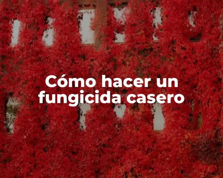 Cómo hacer un fungicida casero