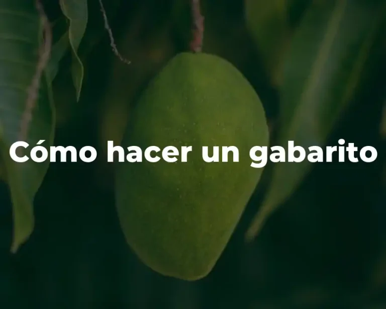 Cómo hacer un gabarito