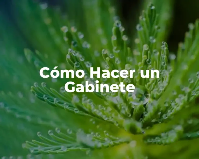 Cómo Hacer un Gabinete