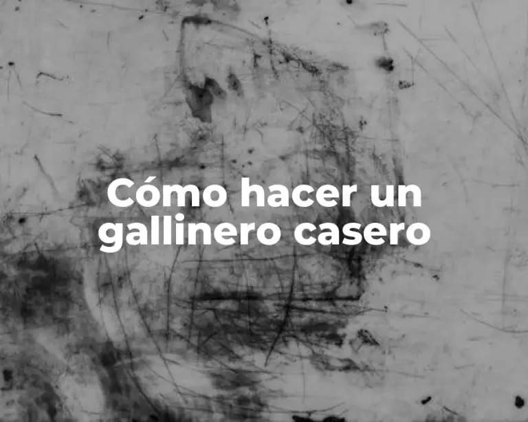 Cómo hacer un gallinero casero