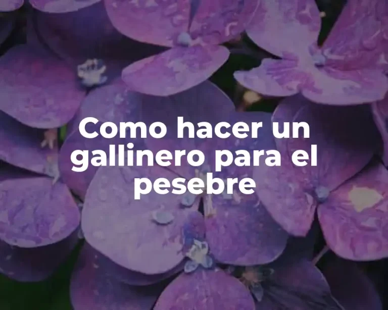 Como hacer un gallinero para el pesebre