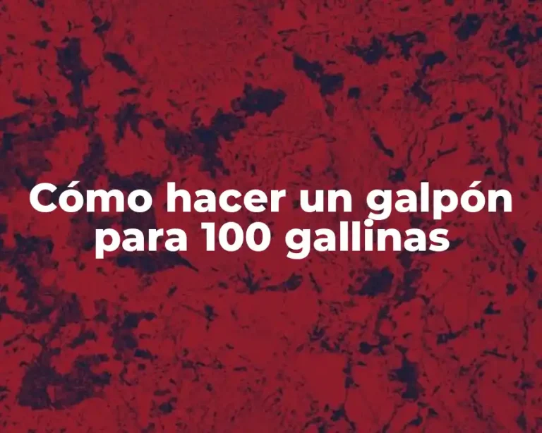 Cómo hacer un galpón para 100 gallinas