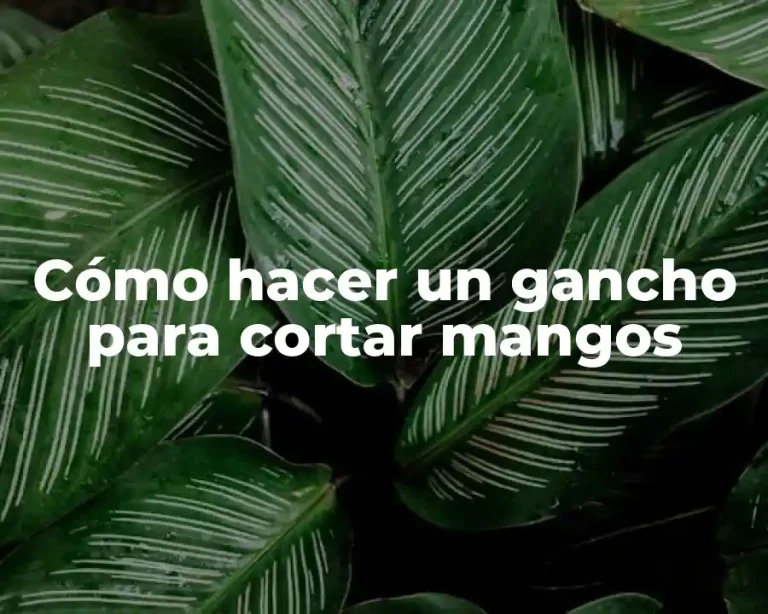 Cómo hacer un gancho para cortar mangos
