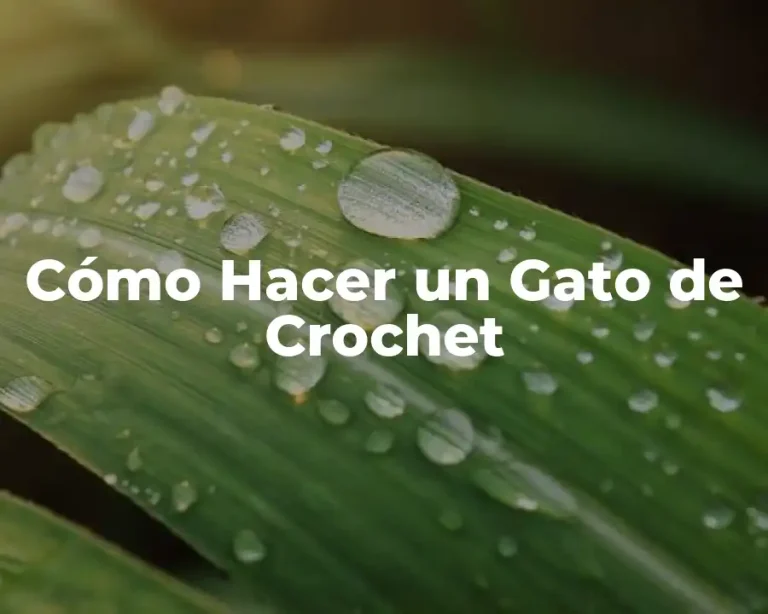 Cómo Hacer un Gato de Crochet