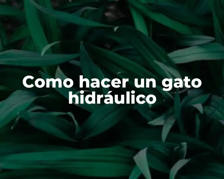 Como hacer un gato hidráulico