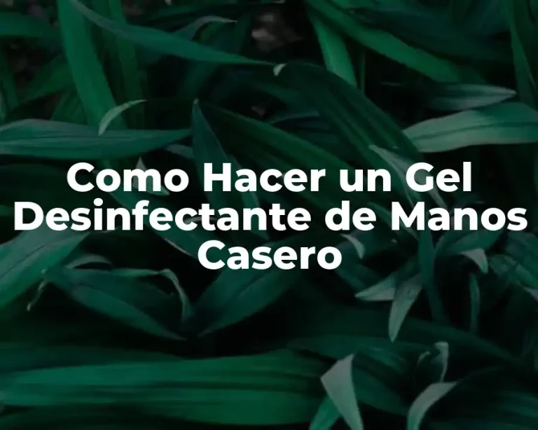 Como Hacer un Gel Desinfectante de Manos Casero