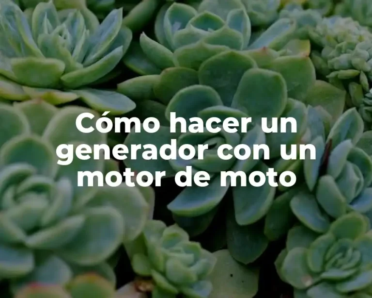 Cómo hacer un generador con un motor de moto