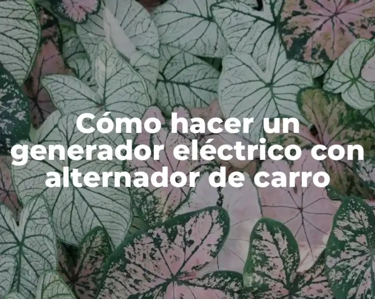 Cómo hacer un generador eléctrico con alternador de carro