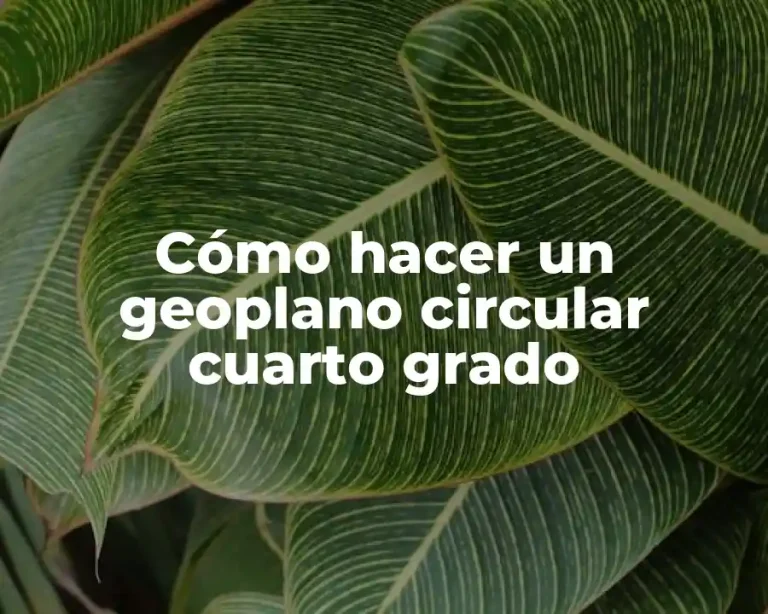Cómo hacer un geoplano circular cuarto grado