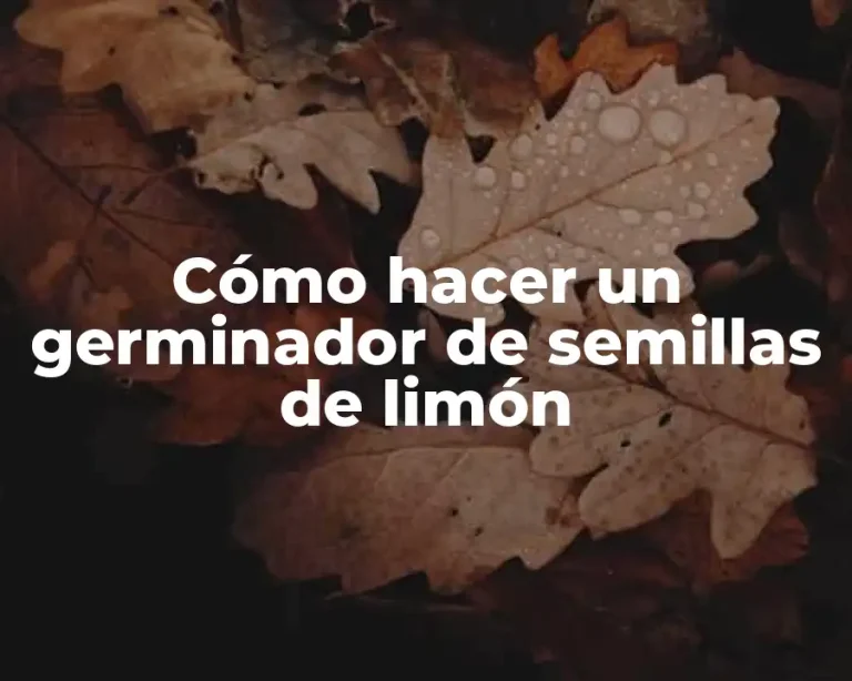 Cómo hacer un germinador de semillas de limón