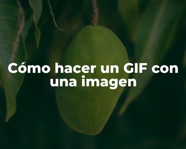 Cómo hacer un GIF con una imagen