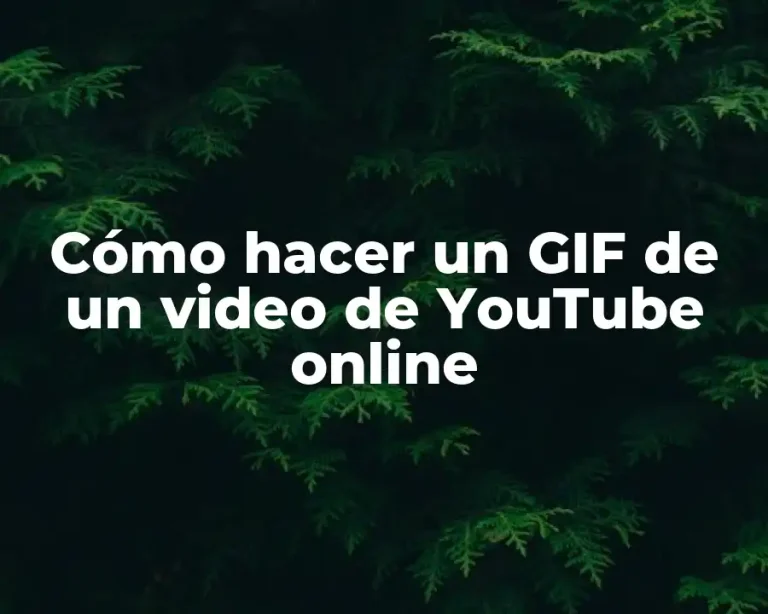Cómo hacer un GIF de un video de YouTube online