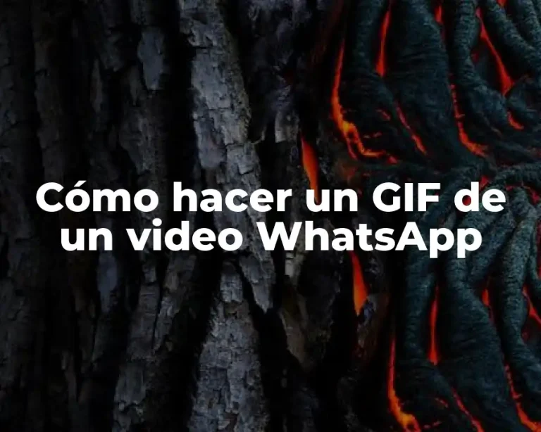 Cómo hacer un GIF de un video WhatsApp