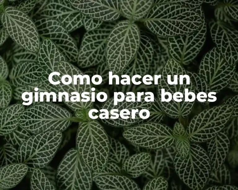 Como hacer un gimnasio para bebes casero
