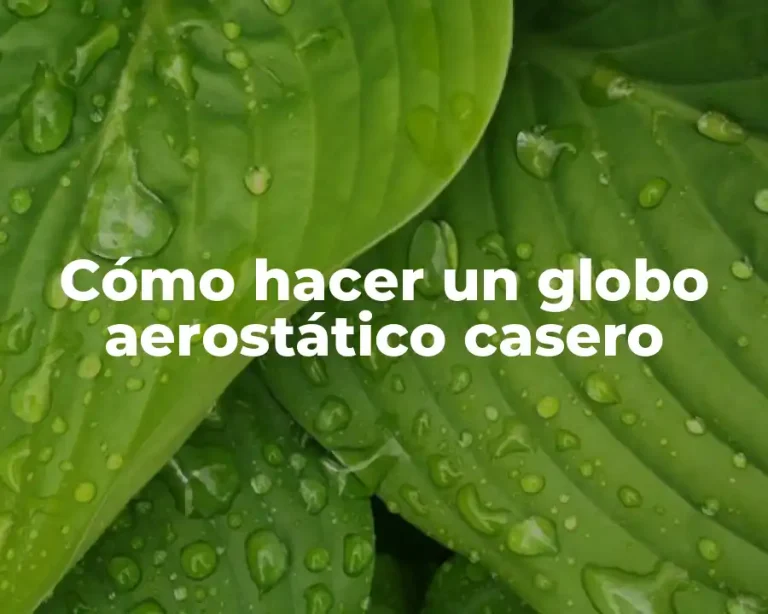 Cómo hacer un globo aerostático casero
