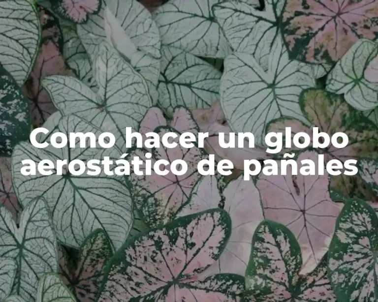 Como hacer un globo aerostático de pañales