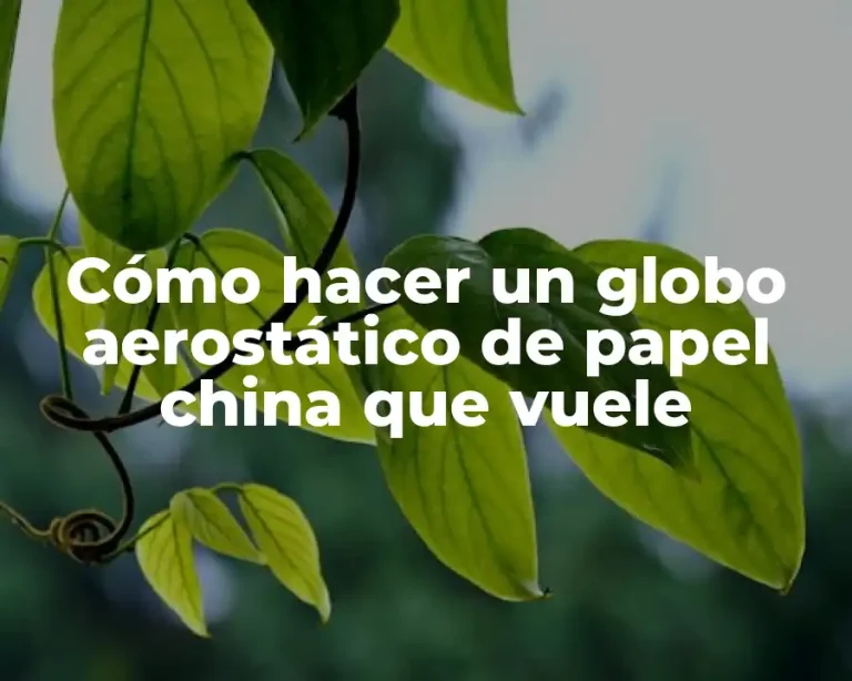 Cómo hacer un globo aerostático de papel china que vuele