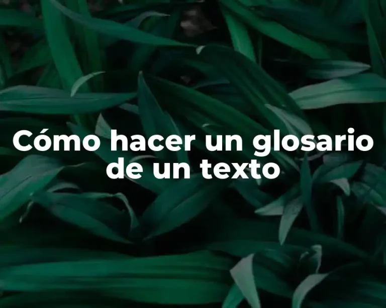 Cómo hacer un glosario de un texto