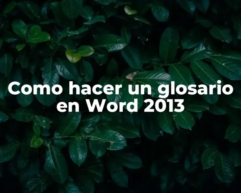 Como hacer un glosario en Word 2013