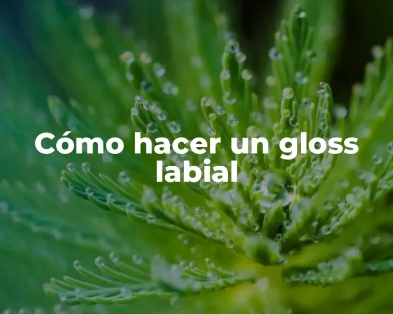Cómo hacer un gloss labial