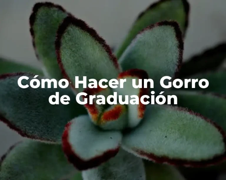 Cómo Hacer un Gorro de Graduación