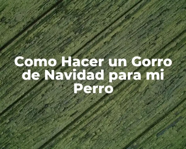 Como Hacer un Gorro de Navidad para mi Perro