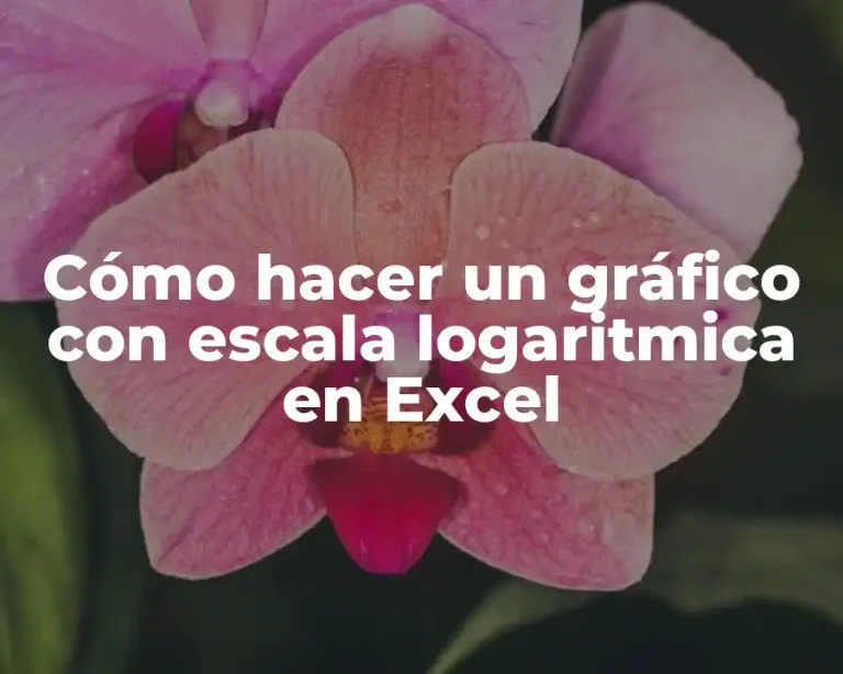 Cómo hacer un gráfico con escala logaritmica en Excel