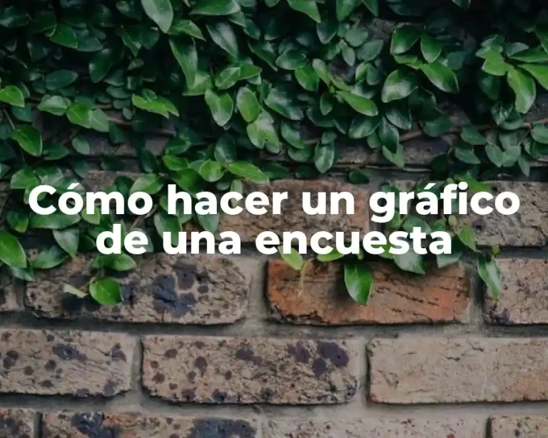 Cómo hacer un gráfico de una encuesta